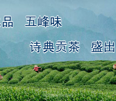 五峰东方茶业有限公司