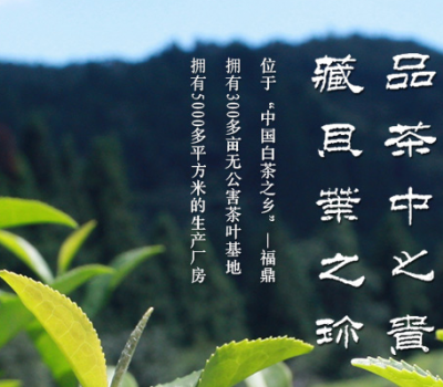 福鼎市品贝茶业有限公司