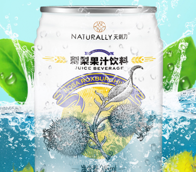 贵州天刺力食品科技有限责任公司