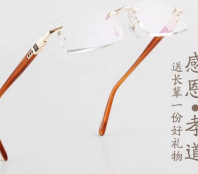 上海丽影眼镜有限公司