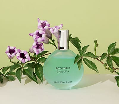  广州卓芬化妆品有限公司