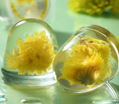 昆明七彩云花生物科技有限公司