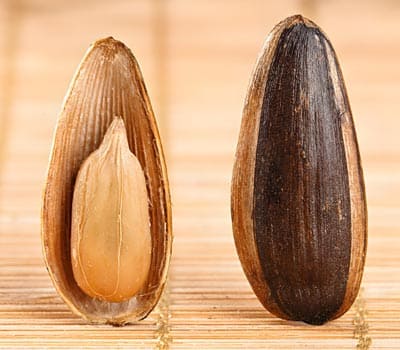 丰城市老实人食品有限公司