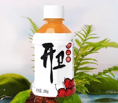 福建胜基食品饮料有限公司