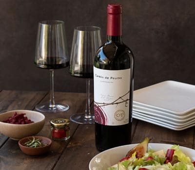 VINA CONCHA Y TORO S.A.