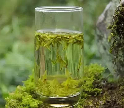 新昌县名茶协会