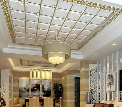 华帝股份 有限公司