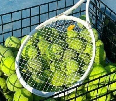 东莞维志贸易有限公司