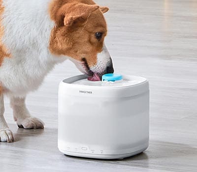 广州宠小到大智能科技有限公司