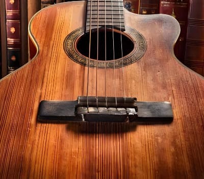 泰兴市索菲雅乐器有限公司